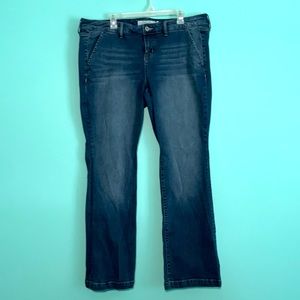 Torrid Denim Medium Wash Jeans